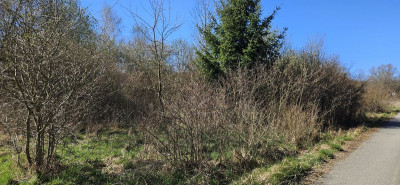 Na sprzedaż działka budowlana - Stary Wielisław -
dolnośląskie Zdjęcie nr 2