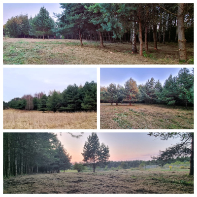 Działka budowlana w Olkuszu - Inwestycja idealna dla Dewelopera -
małopolskie Zdjęcie nr 4
