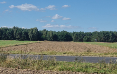 Działka 60 arów pod zabudowę przy lesie, Smólnik, gm. Krzymów, pow. Koniński, woj. Wielkopolskie - Wielkopolskie