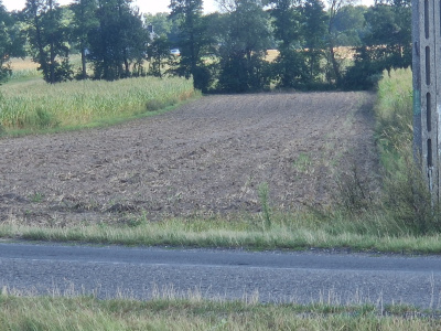 Działka 42 ary pod zabudowę, Smólnik, gm. Krzymów, pow. Koniński, woj. Wielkopolskie -
Wielkopolskie Zdjęcie nr 8