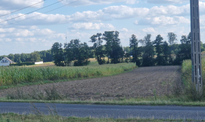 Działka 42 ary pod zabudowę, Smólnik, gm. Krzymów, pow. Koniński, woj. Wielkopolskie -
Wielkopolskie Zdjęcie nr 2