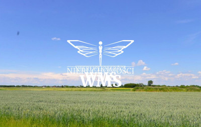 Działka przy A4 w Łąka k/Rzeszowa -   -
PODKARPACKIE Zdjęcie nr 6