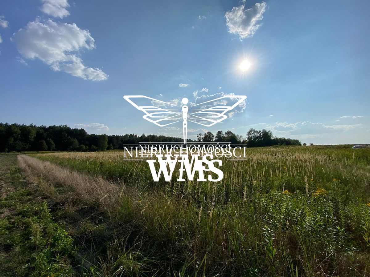 Duża działka 1 ha w dobrej cenie - Wysoka Głogowsk - Wysoka Głogowska  -
PODKARPACKIE Zdjęcie nr 1