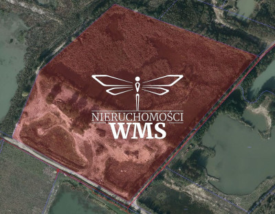 Działka ze stawem 480 ha Budy Głogowskie - Budy Głogowskie  -
PODKARPACKIE Zdjęcie nr 9