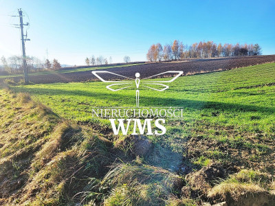 Działka na sprzedaż 97ar Wola Zgłobieńska Rzeszów - Wola Zgłobieńska  -
PODKARPACKIE Zdjęcie nr 8