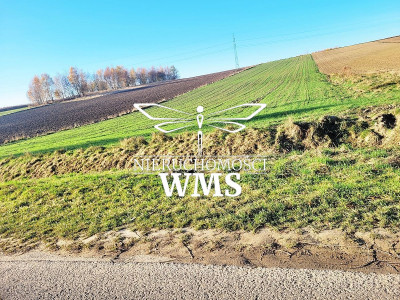 Działka na sprzedaż 97ar Wola Zgłobieńska Rzeszów - Wola Zgłobieńska  -
PODKARPACKIE Zdjęcie nr 9