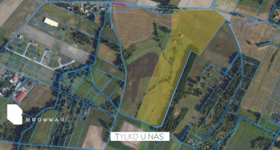 10ha działkamożliwość zakupu 20ha-Nekla - Nekla  -
Wielkopolskie Zdjęcie nr 3