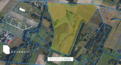 10ha działkamożliwość zakupu 20ha-Nekla - Nekla  -
Wielkopolskie Zdjęcie nr 4