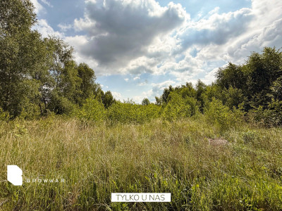 Działka budowlana blisko jeziora - Łopuchowo  -
Wielkopolskie Zdjęcie nr 3