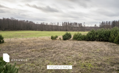 Działka budowlana w otulinie parku krajobrazowego - Silna Nowa  -
Wielkopolskie Zdjęcie nr 5