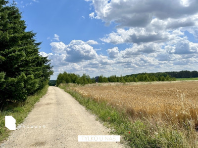 Działki z dostępem Jeziora Kuchennego Wydane WZ - Chrzypsko Wielkie  -
Wielkopolskie Zdjęcie nr 12