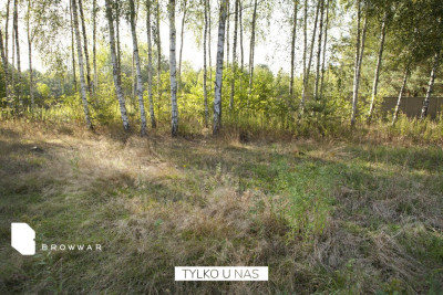 Helenów - dwie działki aglomeracja warszawska - Helenów  -
Mazowieckie Zdjęcie nr 6