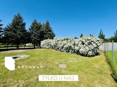 Działka z pięknym ogrodem -Tarnowo Podgórne - Tarnowo Podgórne  - Wielkopolskie