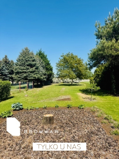 Działka z pięknym ogrodem -Tarnowo Podgórne - Tarnowo Podgórne  -
Wielkopolskie Zdjęcie nr 7