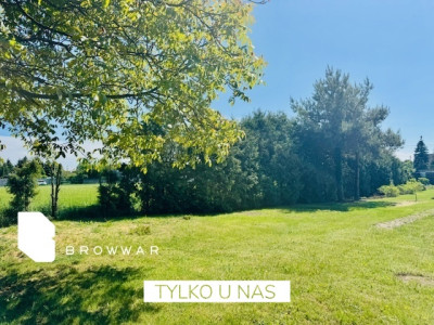 Działka z pięknym ogrodem -Tarnowo Podgórne - Tarnowo Podgórne  -
Wielkopolskie Zdjęcie nr 9