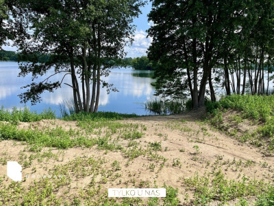 Rezydencjonalna działka 12ha dostępem do jeziora - Chrzypsko Wielkie  -
Wielkopolskie Zdjęcie nr 11