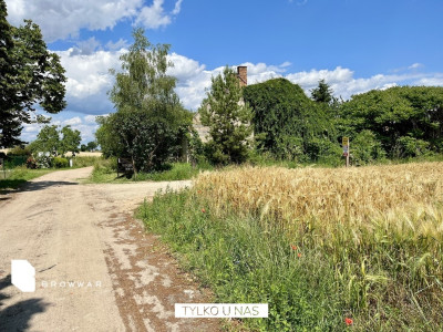 Rezydencjonalna działka 12ha dostępem do jeziora - Chrzypsko Wielkie  -
Wielkopolskie Zdjęcie nr 7