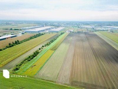 3 działki dla inwestora Plewiska - Plewiska  -
Wielkopolskie Zdjęcie nr 4