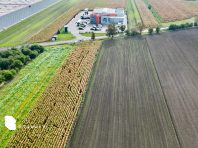 3 działki dla inwestora Plewiska - Plewiska  -
Wielkopolskie Zdjęcie nr 5