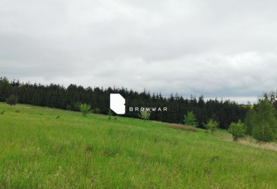 Działka z linią brzegową - Chrzypsko Wielkie -
Wielkopolskie Zdjęcie nr 6