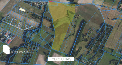 10ha działkamożliwość zakupu 20ha-Nekla - Nekla   -
Wielkopolskie