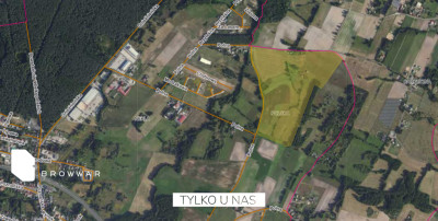 10ha działkamożliwość zakupu 20ha-Nekla - Nekla   -
Wielkopolskie Zdjęcie nr 5