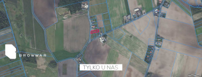 Nowa cena - działka z warunkami zabudowy - Mrowino   -
Wielkopolskie Zdjęcie nr 5
