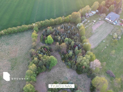 Działka 956m2 z PNB w otulinie lasu zaraz przy S11 - Napachanie   -
Wielkopolskie Zdjęcie nr 13