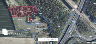 Działka 956m2 z PNB w otulinie lasu zaraz przy S11 - Napachanie   -
Wielkopolskie Zdjęcie nr 9