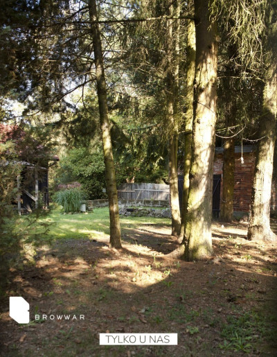 Helenów - dwie działki aglomeracja warszawska - Helenów   -
Mazowieckie Zdjęcie nr 5