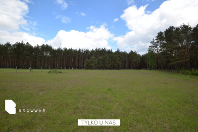 Działka budowlana przy samym lesie - Silna   -
Lubuskie