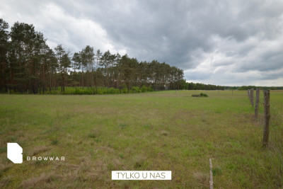 Działka budowlana przy samym lesie - Silna   -
Lubuskie Zdjęcie nr 2