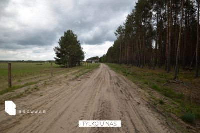Działka budowlana przy samym lesie - Silna   -
Lubuskie Zdjęcie nr 6