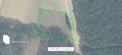 Działka budowlana przy samym lesie - Silna   -
Lubuskie Zdjęcie nr 9