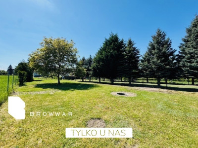 Działka z pięknym ogrodem -Tarnowo Podgórne - Tarnowo Podgórne   -
Wielkopolskie Zdjęcie nr 9