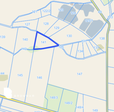 Działka Rolna - Długa Goślina   -
Wielkopolskie Zdjęcie nr 3
