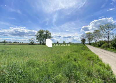 Działka budowlana w Połajewie - Połajewku -
Wielkopolskie Zdjęcie nr 4
