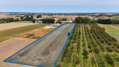 Działka rolno- budowlana  z potencjałem - Wawrzeńczyce  -
świętokrzyskie Zdjęcie nr 4