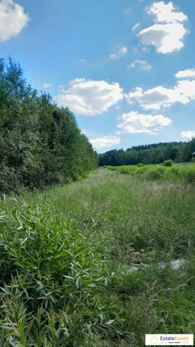 Atrakcyjna działka budowlana w Masłowie -  Masłów Drugi  -
świętokrzyskie Zdjęcie nr 5