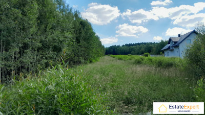 Atrakcyjna działka budowlana w Masłowie -  Masłów Drugi  -
świętokrzyskie Zdjęcie nr 6