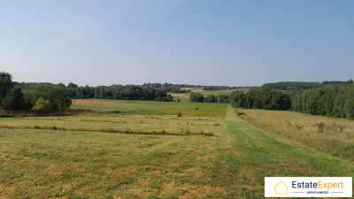 Atrakcyjne działki budowlane Koziel gm Raków -  Koziel  -
świętokrzyskie Zdjęcie nr 2