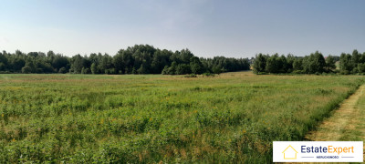 Atrakcyjne działki budowlane Koziel gm Raków -  Koziel  -
świętokrzyskie Zdjęcie nr 5