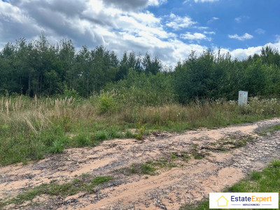 Działka budowlana 1100m2 CHRUSTYZAGNAŃSK -  Chrusty  -
świętokrzyskie Zdjęcie nr 2
