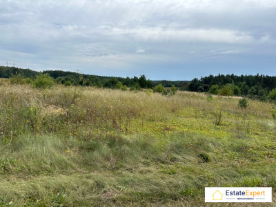 Działka budowlana 1153m2 Dębska WolaMorawica65 zł m2 -  Dębska Wola  -
świętokrzyskie Zdjęcie nr 3