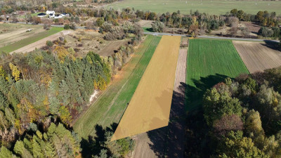 Działka inwestycyjna U1 - Krynki - Krynki  -
świętokrzyskie Zdjęcie nr 4