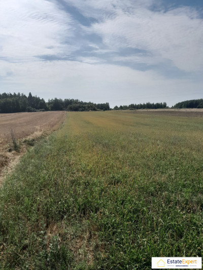 atrakcyjna działka rolna Skrzelczyce -  Skrzelczyce  -
świętokrzyskie Zdjęcie nr 4