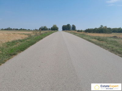atrakcyjna działka rolna Skrzelczyce -  Skrzelczyce  -
świętokrzyskie Zdjęcie nr 5