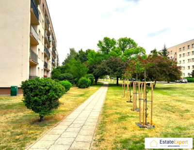 Działka budowlana przy ścianie lasu 962 m2 w Bilczy gm Morawica - Bilcza  -
świętokrzyskie Zdjęcie nr 12