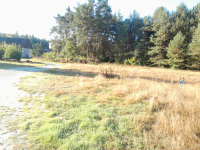 Atrakcyjna działka budowlana w Niwach tuż przy lesie - Niwy  -
świętokrzyskie Zdjęcie nr 2