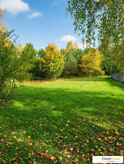 Działka 1100m2 w miejscowości Siedlów - Siedlów  -
łódzkie Zdjęcie nr 3